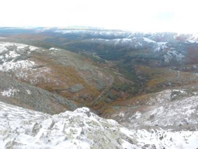 Hayedo de Pedrosa - Parque Natural Sierra Norte de Guadalajara - Hayedo de Tejera Negra